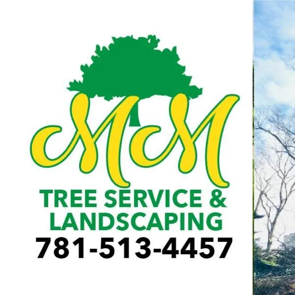 Affordable outdoor landscaping in Lynn, MA - MM Tree Service