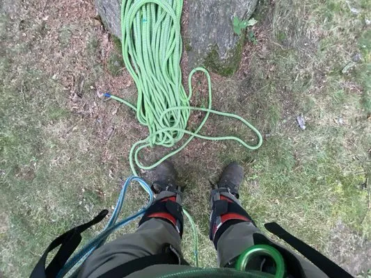 MM Tree Service Logo