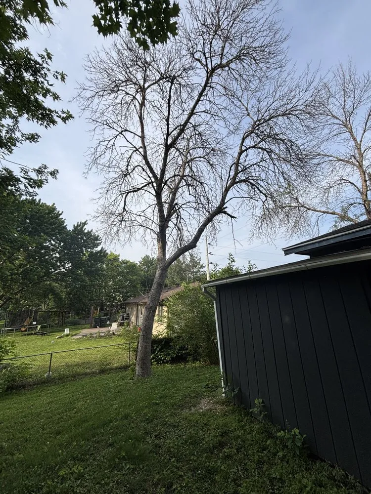 Top-rated landscape design in Rosemount, MN - MM Tree Service