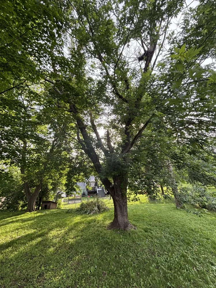 Local garden landscaping near you in Rosemount, MN by MM Tree Service