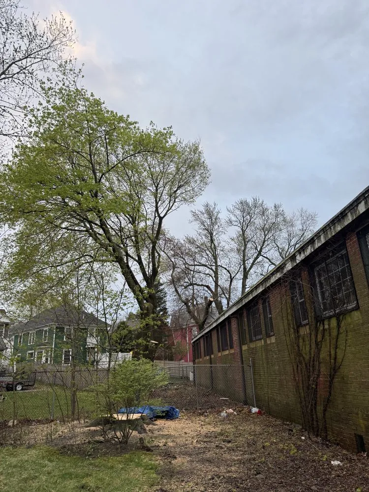 Local landscaping services in Lynn, MA by MM Tree Services