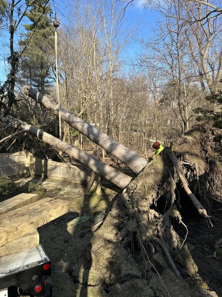 Top-rated landscape design experts serving Lynn, MA - MM Tree Services