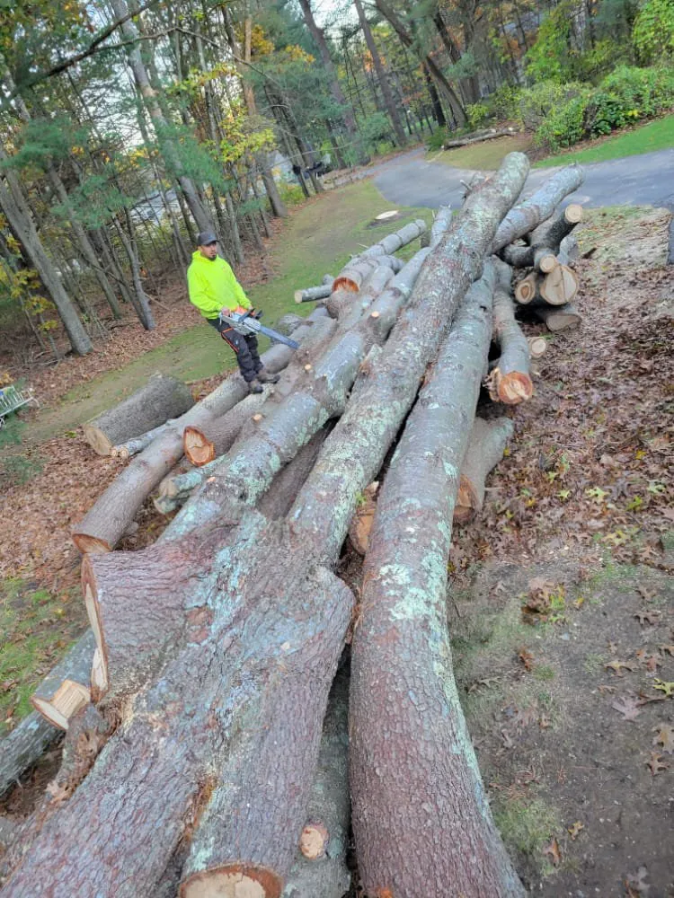 Custom residential landscaping for year-round maintenance in Lynn, MA by MM Tree Services