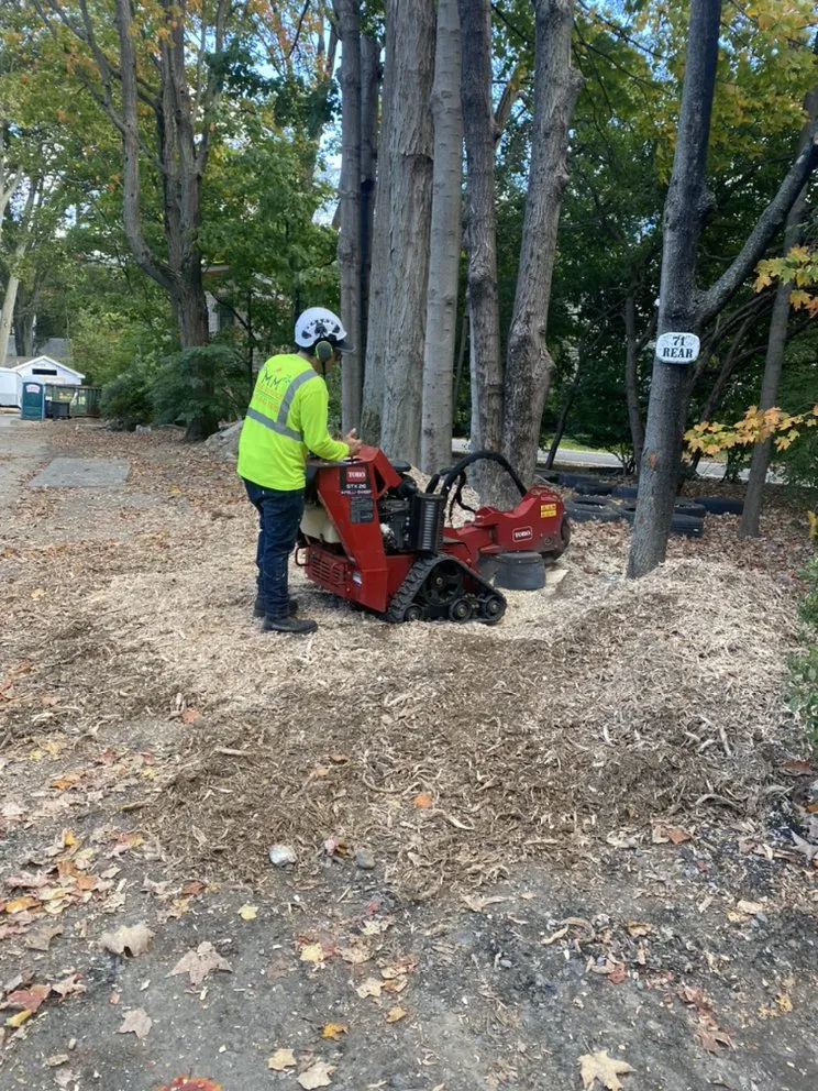 Custom landscape design in Lynn, MA - MM Tree Services