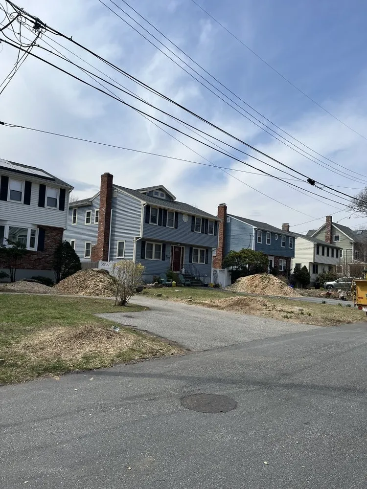 Professional yard cleanup service in Lynn, MA - MM Tree Services