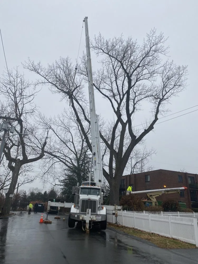 Affordable garden landscaping near you in Lynn, MA by MM Tree Services