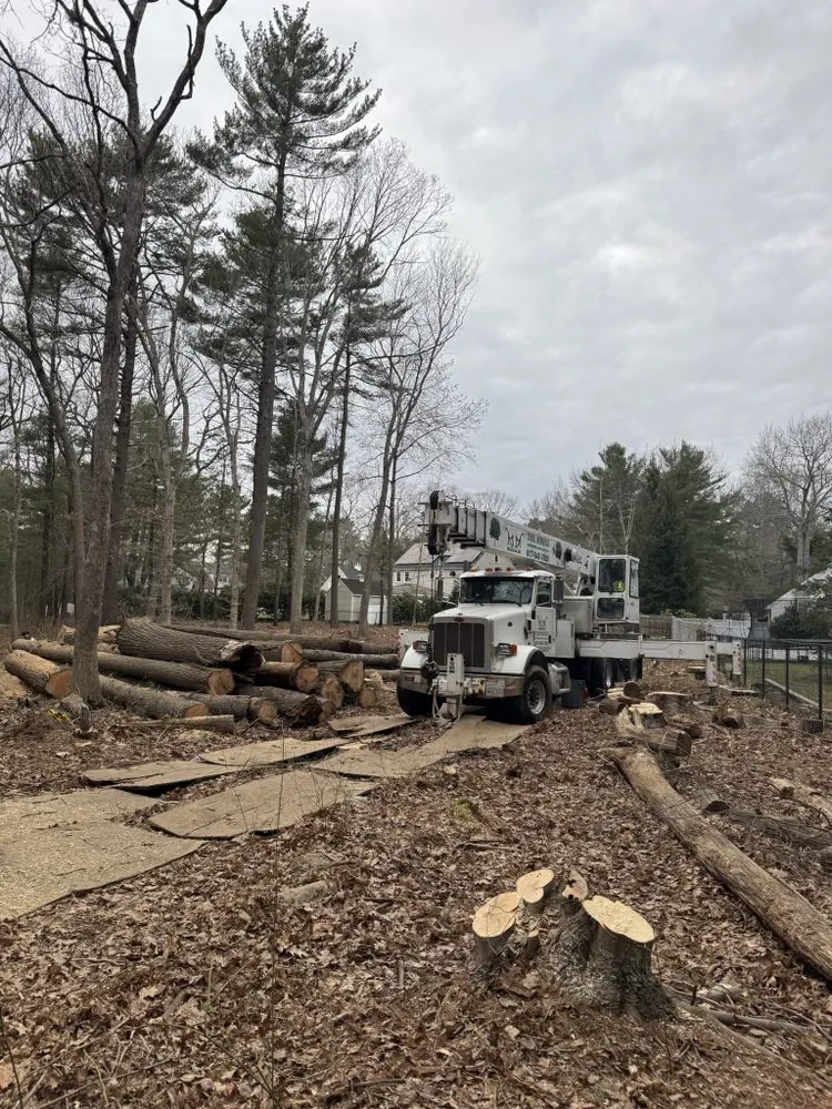 Local landscape design in Lynn, MA - MM Tree Services