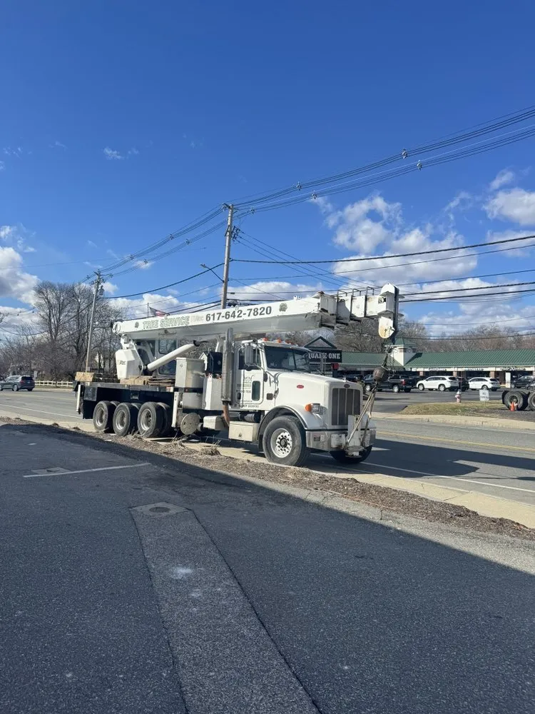 Custom landscaping services for year-round maintenance across Lynn, MA - MM Tree Services