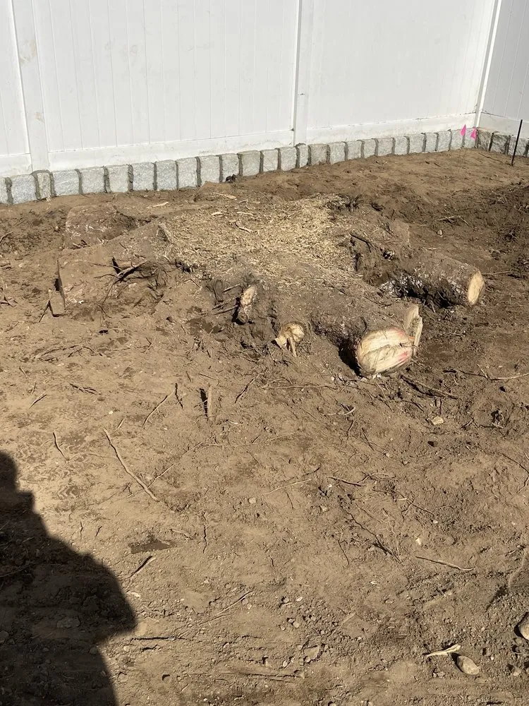 Custom yard cleanup service for residential properties in Lynn, MA by MM Tree Services