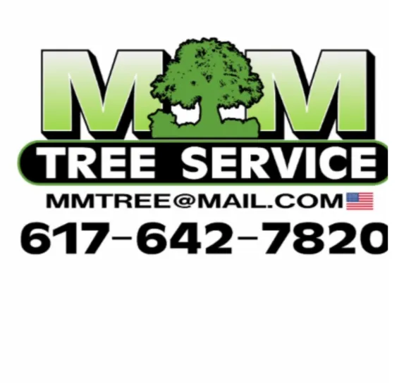 Top-rated garden landscaping for year-round maintenance in Lynn, MA by MM Tree Services