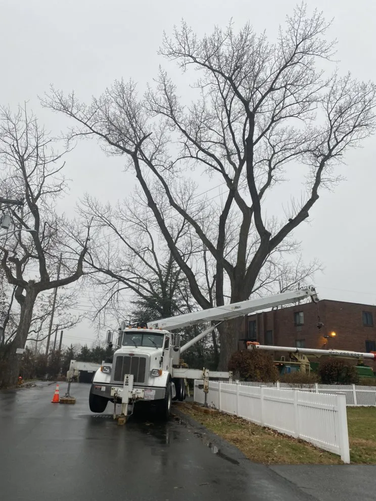 Professional landscaping services for homes across Lynn, MA - MM Tree Services