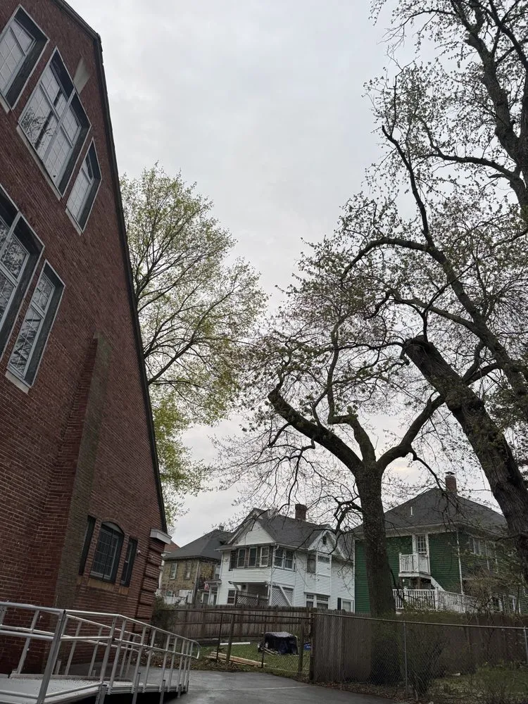 Reliable lawn mowing service near you in Lynn, MA by MM Tree Services