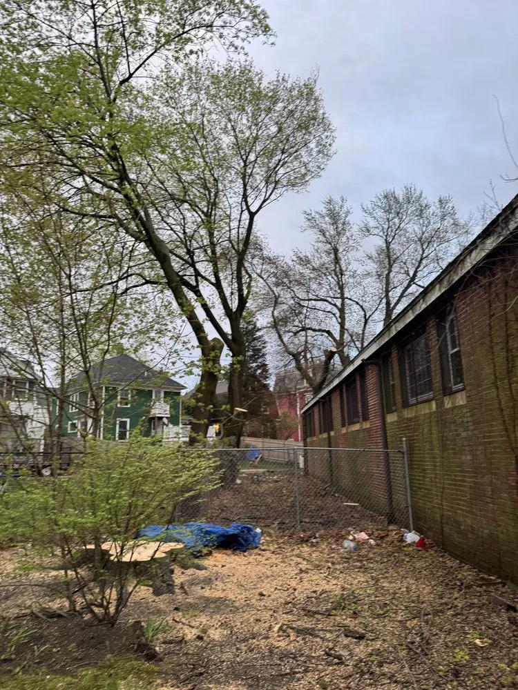 Expert lawn mowing service with custom design in Lynn, MA by MM Tree Services