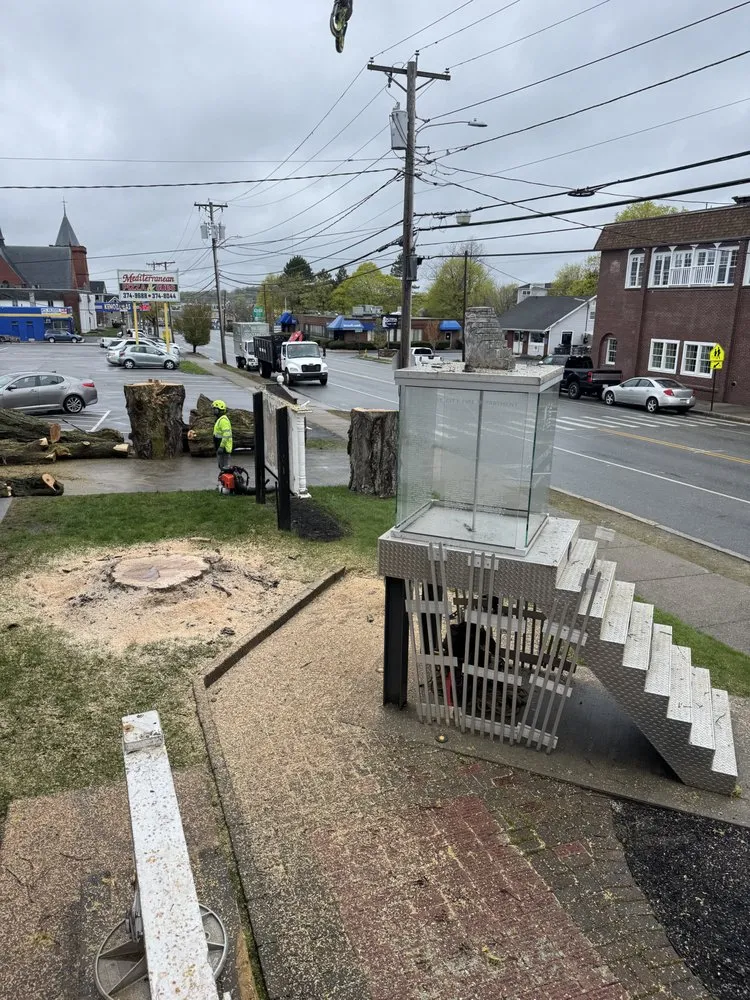 Expert landscape installation near you across Lynn, MA - MM Tree Services