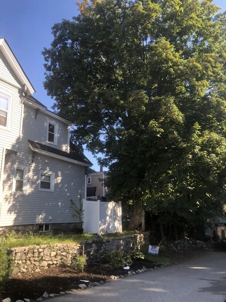 Custom lawn mowing service near you in Lynn, MA by MM Tree Services