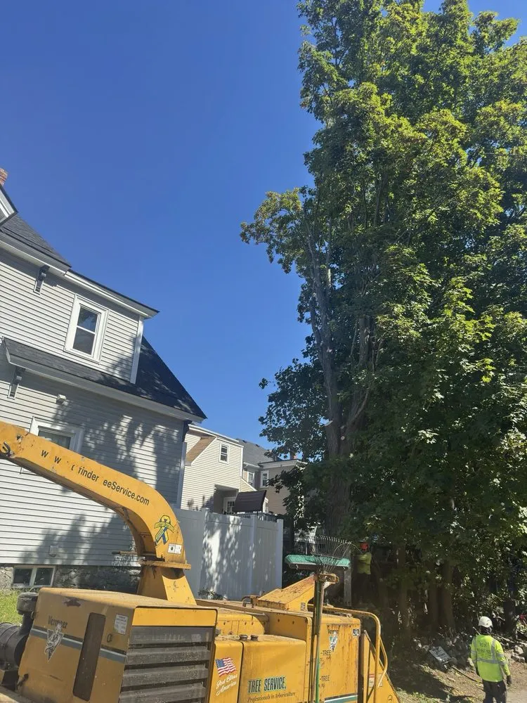 Professional residential landscaping for outdoor upgrades across Lynn, MA - MM Tree Services