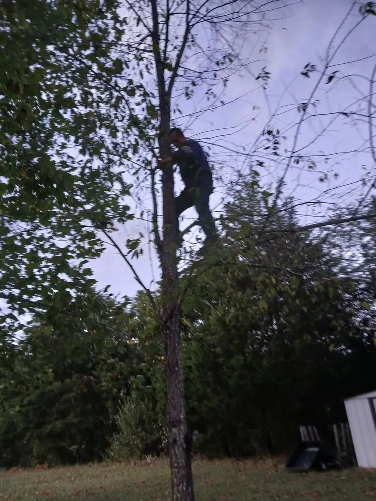 Local lawn care service in Fall Branch, TN by M&M Unlimited