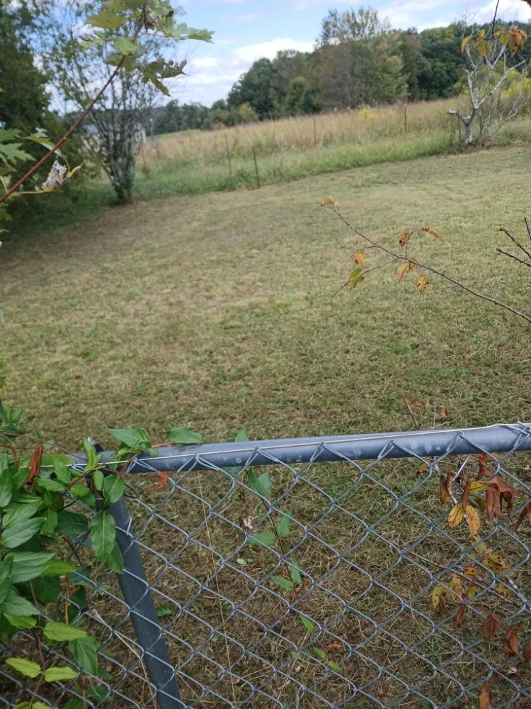 Top-rated lawn mowing service for outdoor upgrades across Fall Branch, TN - M&M Unlimited