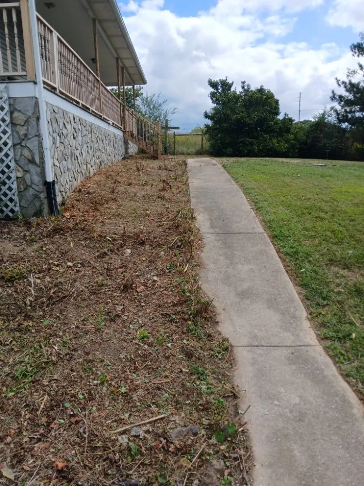 Local yard maintenance for year-round maintenance across Fall Branch, TN - M&M Unlimited