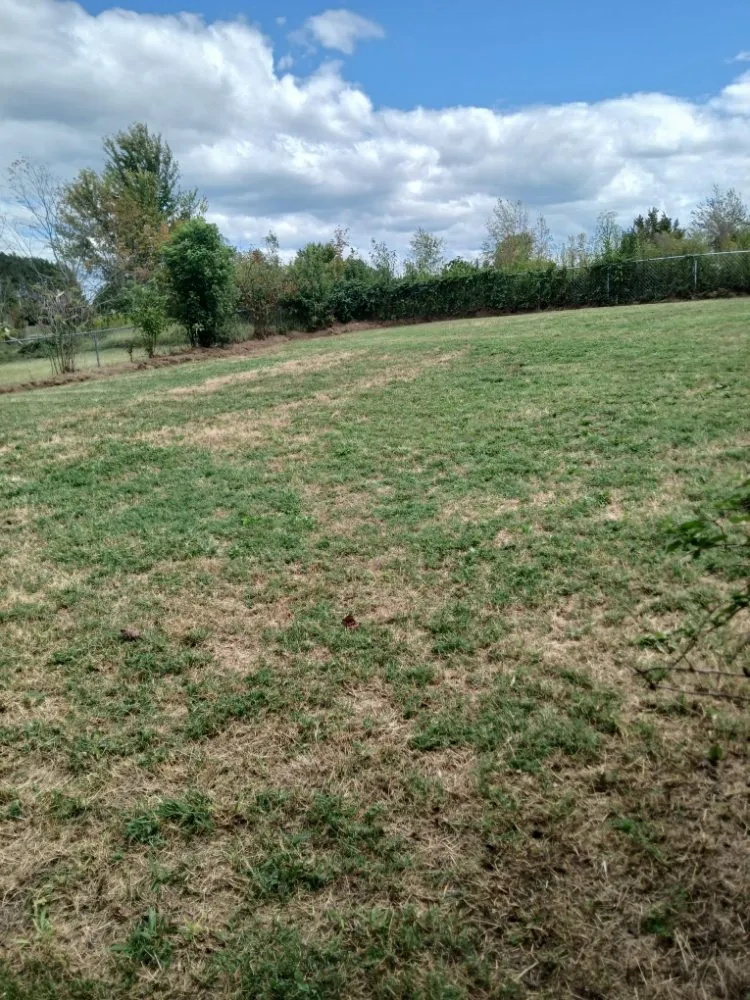 Affordable garden landscaping for year-round maintenance in Fall Branch, TN by M&M Unlimited