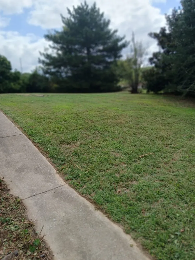 Reliable residential landscaping for homes across Fall Branch, TN - M&M Unlimited