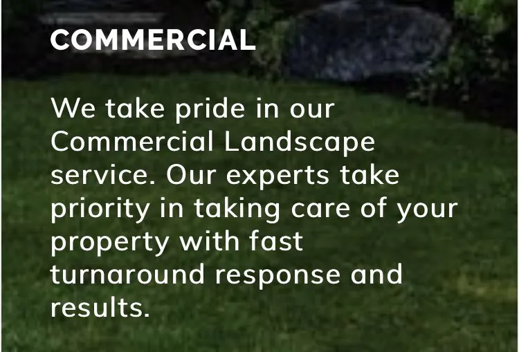 Local yard cleanup service for residential properties across Grand Prairie, TX - M&M Worx