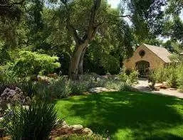 Affordable lawn mowing service for residential properties in Lompoc, CA by M&M Yard Service & Landscape