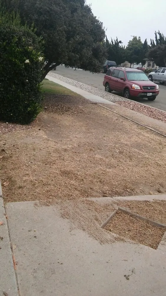 Local landscape design experts serving Lompoc, CA - M&M Yard Service & Landscape