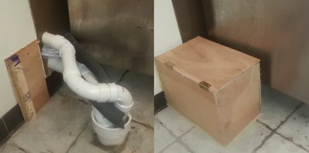 Local lawn mowing service in New Orleans, LA by MMA Pro Services