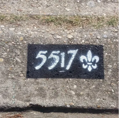 Professional landscape installation with custom design across New Orleans, LA - MMA Pro Services