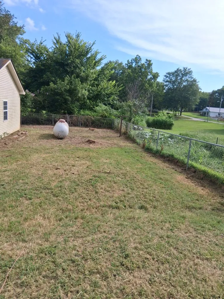 Professional yard cleanup service in Springfield, TN by MMC Residential Services