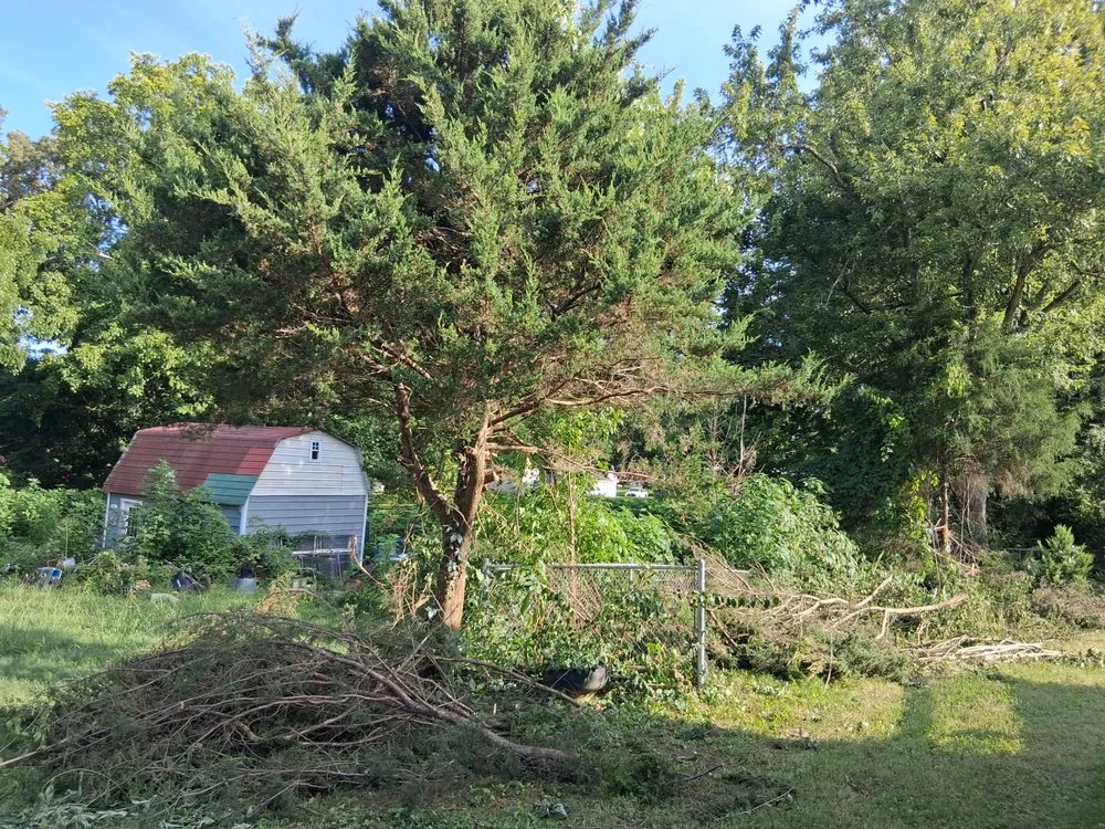 Professional landscaping services in Springfield, TN - MMC Residential Services