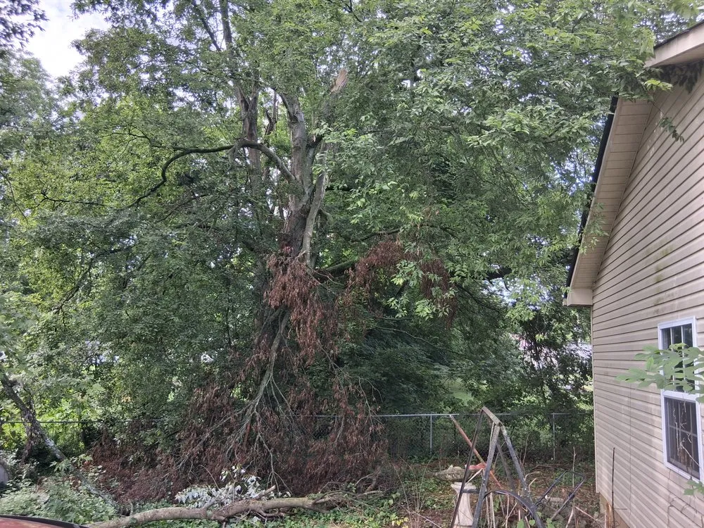 Professional landscape installation for homes in Springfield, TN by MMC Residential Services