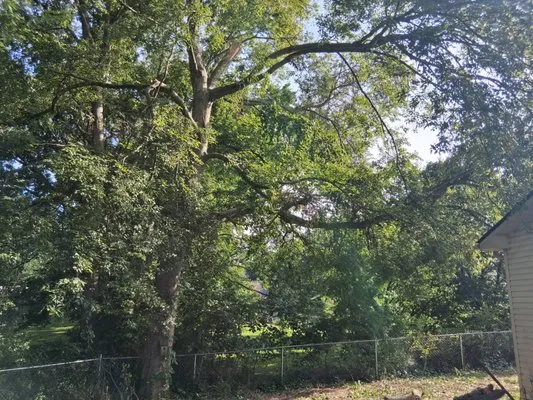 MMC Residential Services Logo