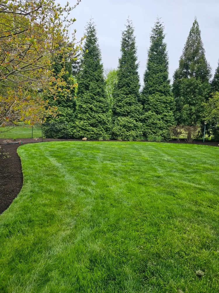 Trusted landscape installation with custom design in West Norriton, PA by MMD Services Landscaping And Snow Removal