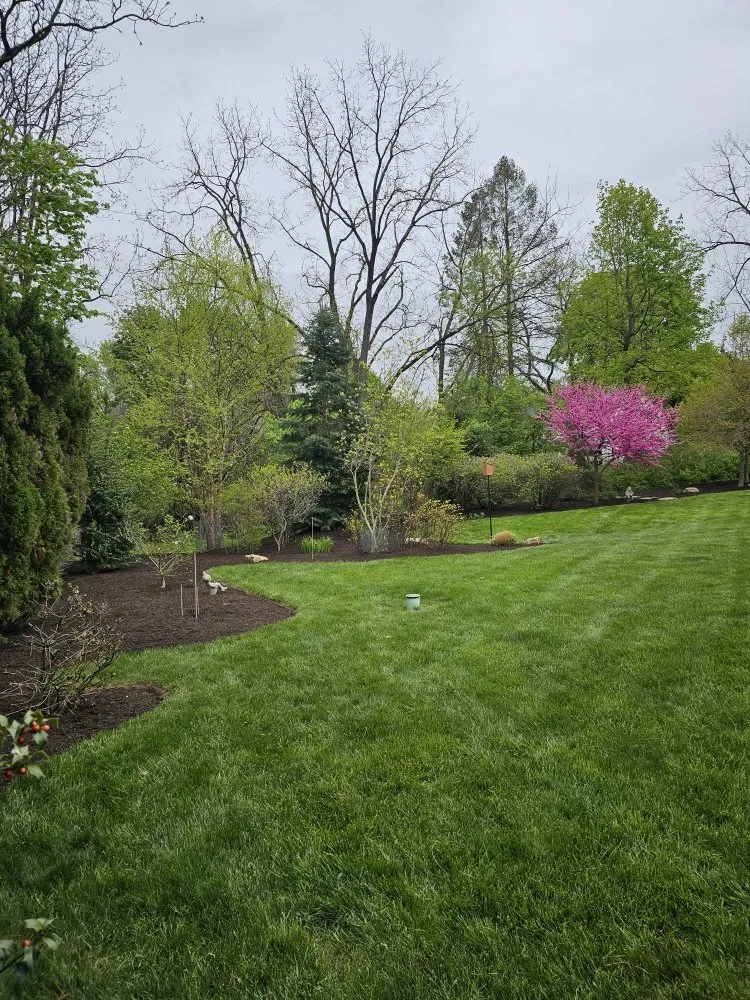 Expert yard cleanup service for homes across West Norriton, PA - MMD Services Landscaping And Snow Removal