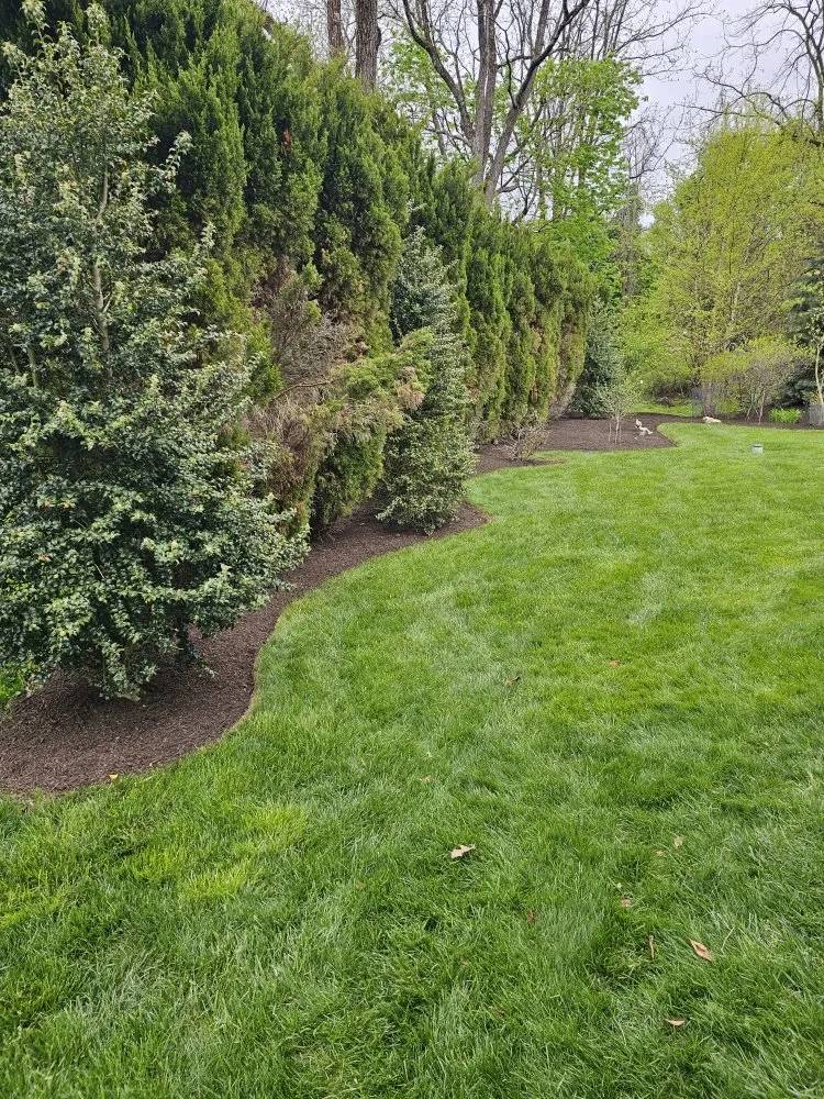 Local garden landscaping near you in West Norriton, PA by MMD Services Landscaping And Snow Removal