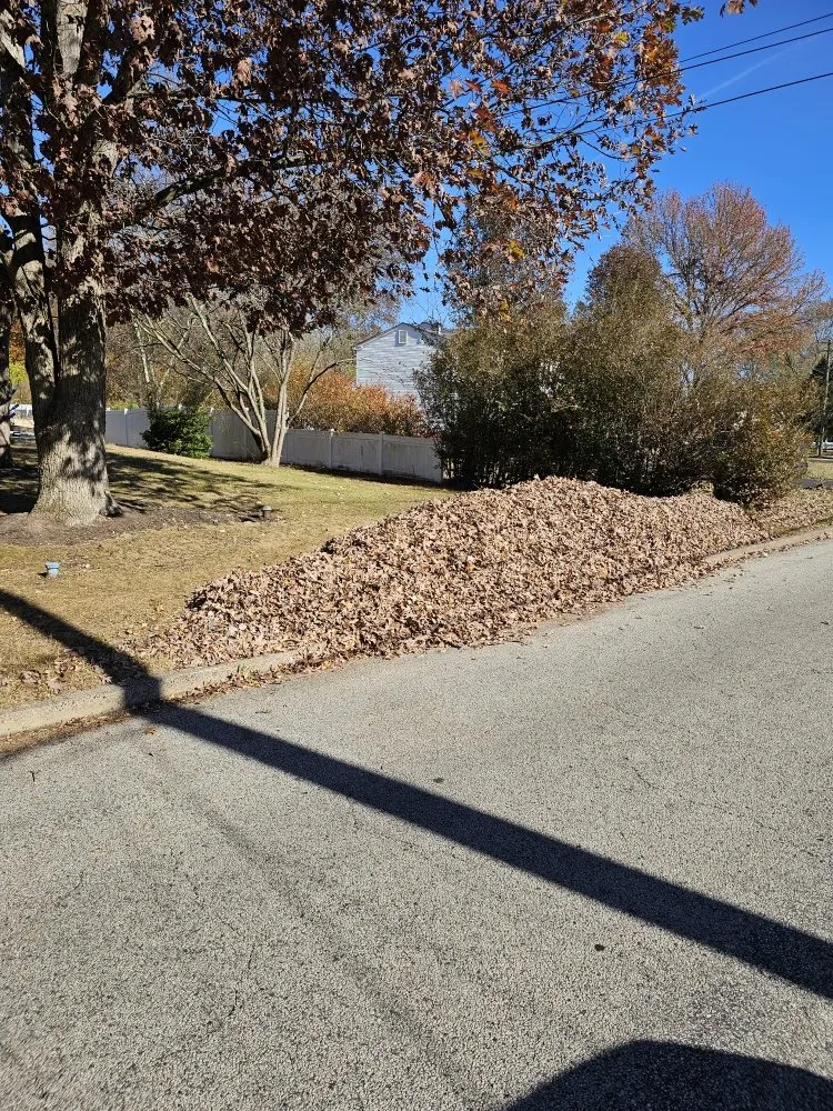 Trusted yard cleanup service for homes across West Norriton, PA - MMD Services Landscaping And Snow Removal