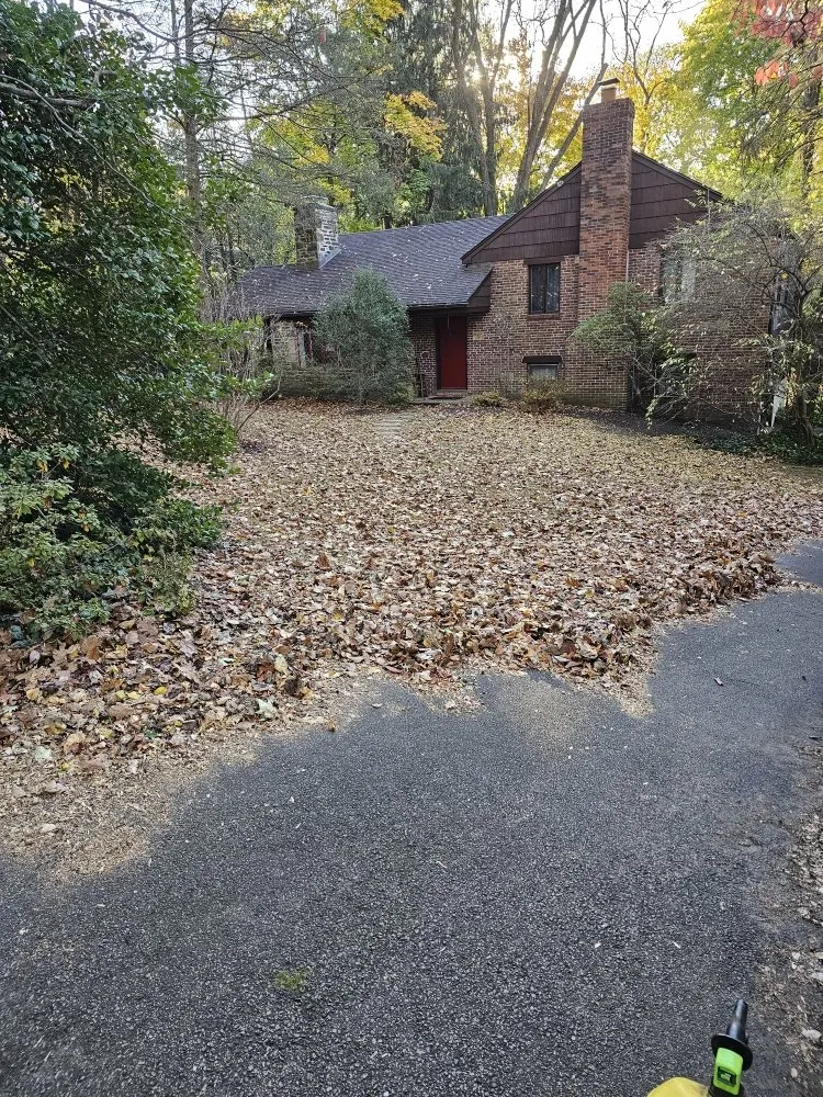 Top-rated landscape design in West Norriton, PA - MMD Services Landscaping And Snow Removal