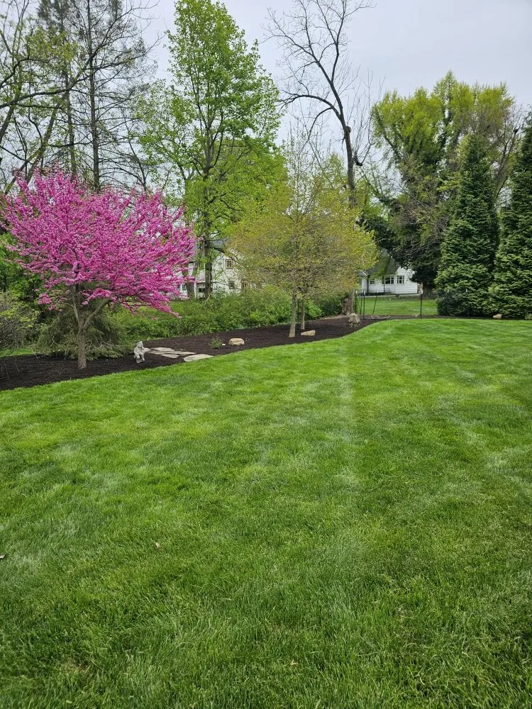 Trusted residential landscaping in West Norriton, PA by MMD Services Landscaping And Snow Removal