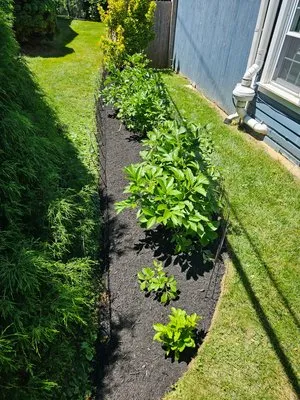 MMD Services Landscaping And Snow Removal