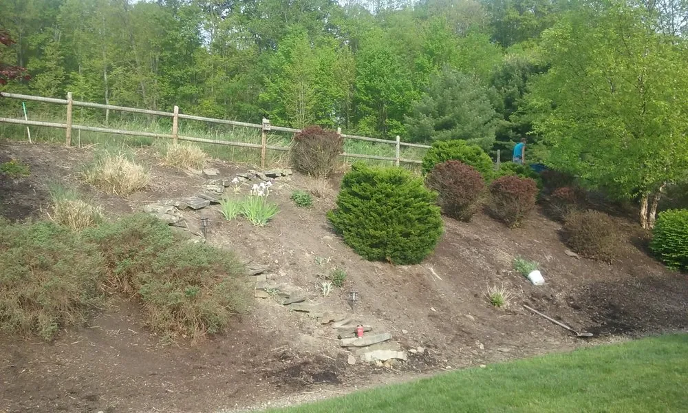 Professional lawn care service for residential properties across Canisteo, NY - MMI landscaping