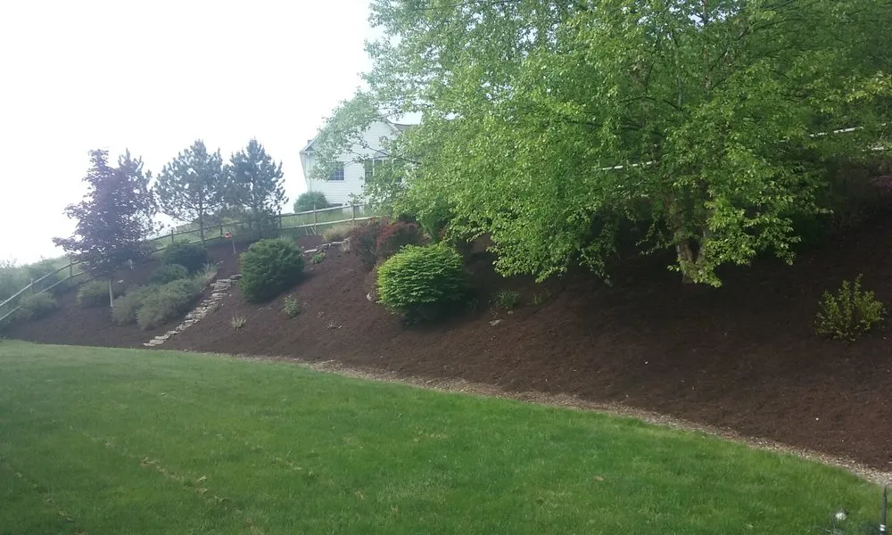 Reliable lawn care service experts serving Canisteo, NY - MMI landscaping