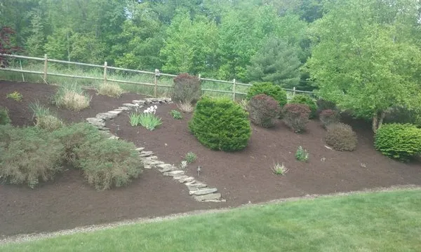MMI landscaping
