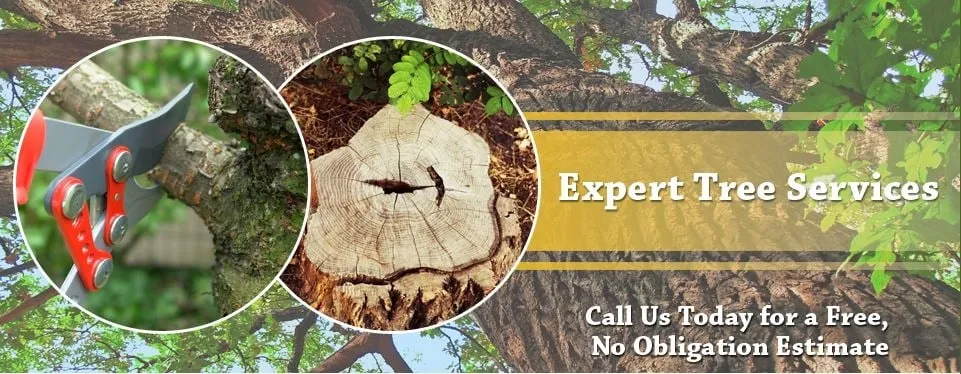 Custom lawn care service in Belle Mead, NJ by MML Tree Service