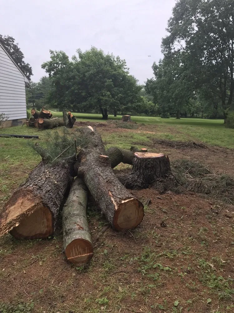 Professional landscape design for beautiful yards in Belle Mead, NJ by MML Tree Service