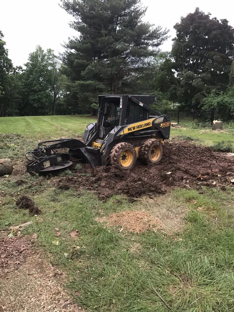 Professional landscaping services in Belle Mead, NJ - MML Tree Service