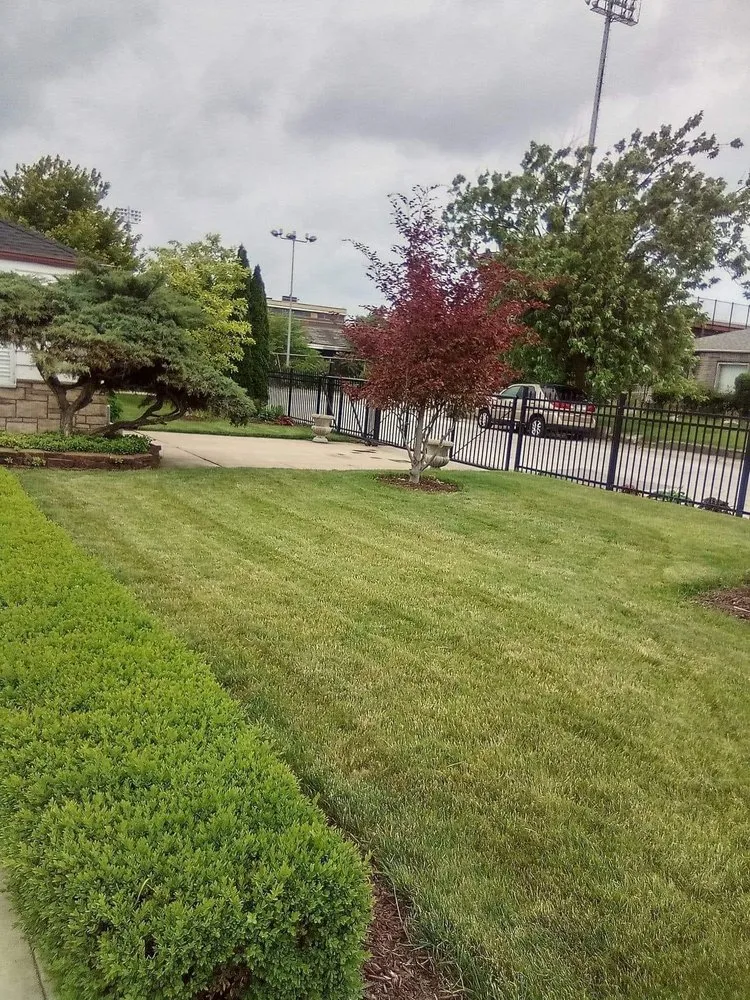 Trusted yard cleanup service in East Chicago, IN - MMNHD Truck Hauling