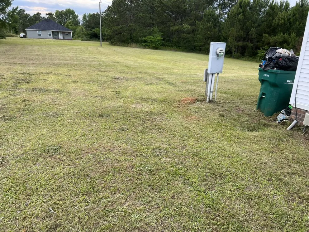 Expert yard maintenance in Sumter, SC by Mmowingandmore