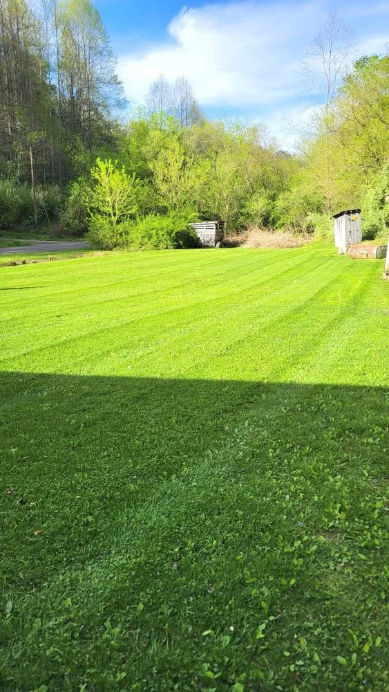 Local landscape installation for beautiful yards across Clintwood, VA - MMS Landscaping